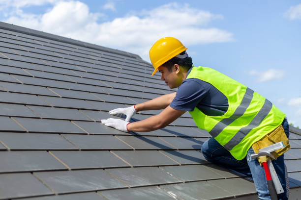 Roof Gutter Cleaning in Mulberry, AR