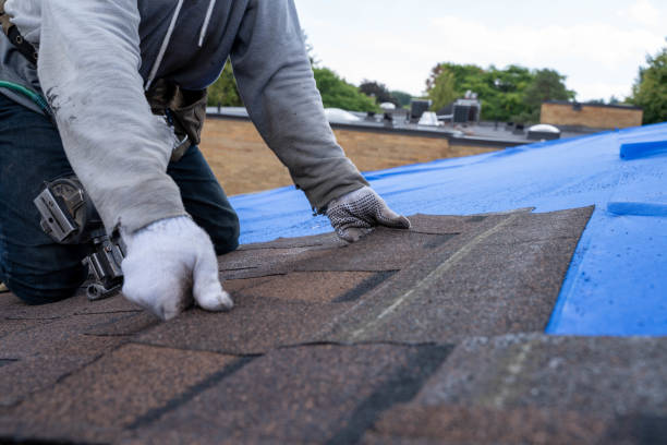 Quick and Trustworthy Emergency Roof Repair Services in Mulberry, AR