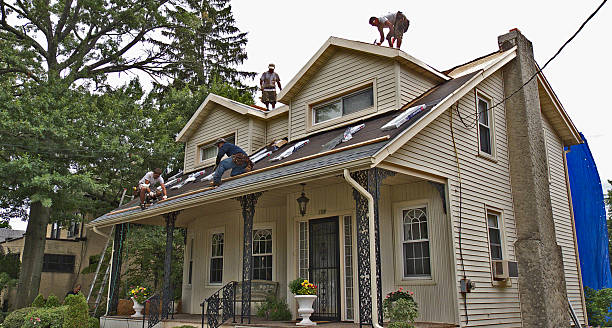 Best Storm Damage Roof Repair  in Mulberry, AR